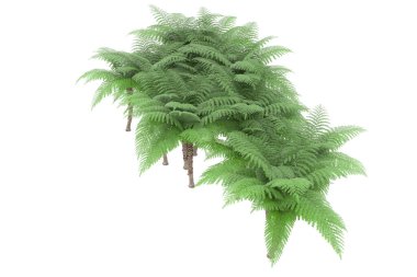 Arka planda izole tropikal orman. 3d görüntüleme - illüstrasyon