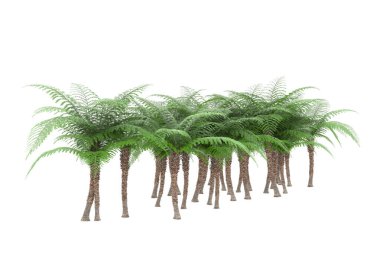 Arka planda izole tropikal orman. 3d görüntüleme - illüstrasyon