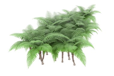 Arka planda izole tropikal orman. 3d görüntüleme - illüstrasyon