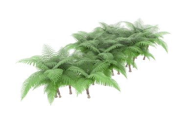 Arka planda izole tropikal orman. 3d görüntüleme - illüstrasyon