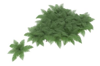 Arka planda izole tropikal orman. 3d görüntüleme - illüstrasyon