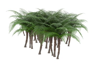 Arka planda izole tropikal orman. 3d görüntüleme - illüstrasyon