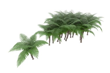 Arka planda izole tropikal orman. 3d görüntüleme - illüstrasyon