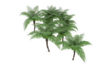 Arka planda izole tropikal orman. 3d görüntüleme - illüstrasyon