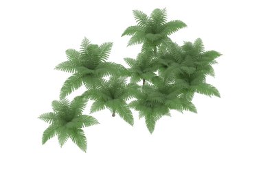 Arka planda izole tropikal orman. 3d görüntüleme - illüstrasyon