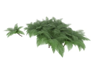 Arka planda izole tropikal orman. 3d görüntüleme - illüstrasyon