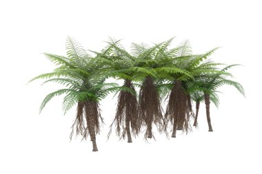 Arka planda izole tropikal orman. 3d görüntüleme - illüstrasyon