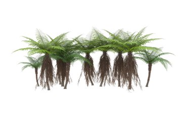 Arka planda izole tropikal orman. 3d görüntüleme - illüstrasyon