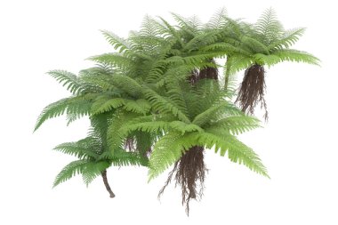 Arka planda izole tropikal orman. 3d görüntüleme - illüstrasyon