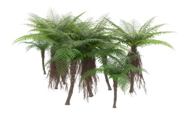 Arka planda izole tropikal orman. 3d görüntüleme - illüstrasyon