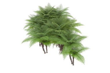 Arka planda izole tropikal orman. 3d görüntüleme - illüstrasyon