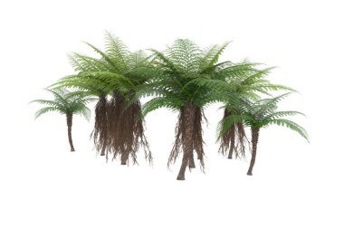 Arka planda izole tropikal orman. 3d görüntüleme - illüstrasyon