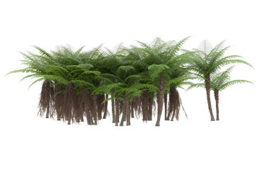 Arka planda izole tropikal orman. 3d görüntüleme - illüstrasyon