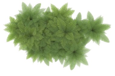 Arka planda izole tropikal orman. 3d görüntüleme - illüstrasyon