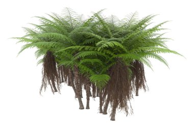 Arka planda izole tropikal orman. 3d görüntüleme - illüstrasyon