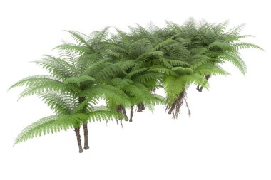 Arka planda izole tropikal orman. 3d görüntüleme - illüstrasyon