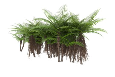 Arka planda izole tropikal orman. 3d görüntüleme - illüstrasyon