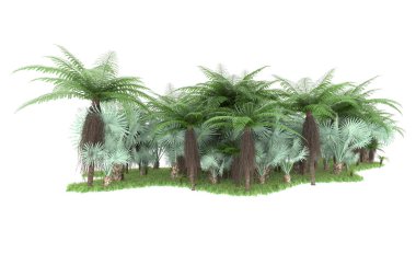 Arka planda izole tropikal orman. 3d görüntüleme - illüstrasyon