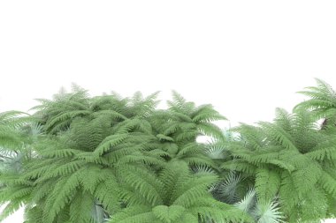 Arka planda izole tropikal orman. 3d görüntüleme - illüstrasyon