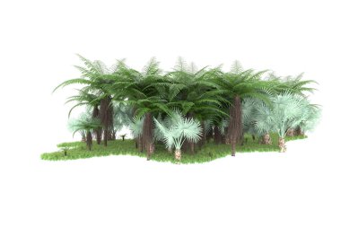Arka planda izole tropikal orman. 3d görüntüleme - illüstrasyon
