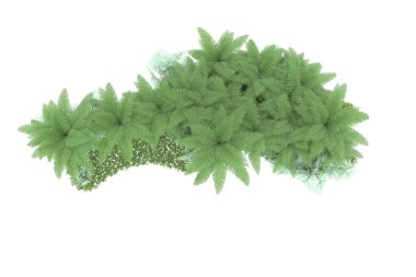 Arka planda izole tropikal orman. 3d görüntüleme - illüstrasyon