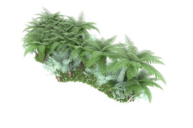 Arka planda izole tropikal orman. 3d görüntüleme - illüstrasyon