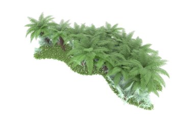 Arka planda izole tropikal orman. 3d görüntüleme - illüstrasyon