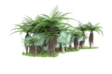 Arka planda izole tropikal orman. 3d görüntüleme - illüstrasyon