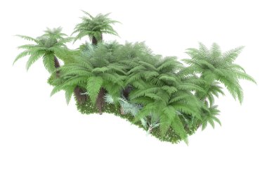 Arka planda izole tropikal orman. 3d görüntüleme - illüstrasyon