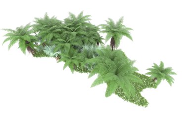 Arka planda izole tropikal orman. 3d görüntüleme - illüstrasyon