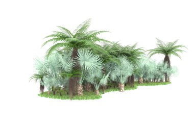 Arka planda izole tropikal orman. 3d görüntüleme - illüstrasyon
