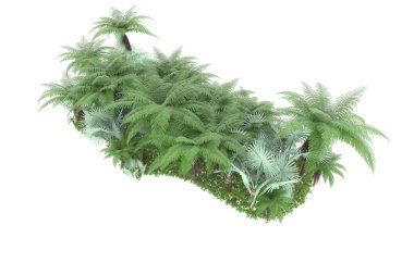 Arka planda izole tropikal orman. 3d görüntüleme - illüstrasyon
