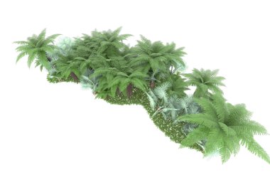Arka planda izole tropikal orman. 3d görüntüleme - illüstrasyon