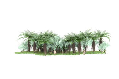 Arka planda izole tropikal orman. 3d görüntüleme - illüstrasyon