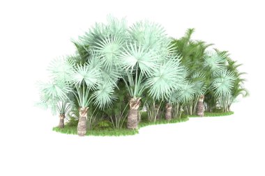 Arka planda izole tropikal orman. 3d görüntüleme - illüstrasyon