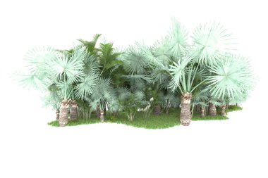 Arka planda izole tropikal orman. 3d görüntüleme - illüstrasyon