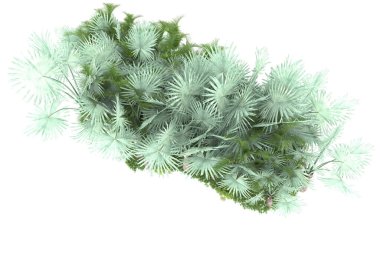 Arka planda izole tropikal orman. 3d görüntüleme - illüstrasyon