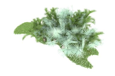 Doğal bitki örtüsü kavramı, gerçekçi palmiye ağaçları kopya alanı için beyaz arkaplanda izole edilmiş