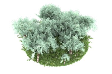 Doğal bitki örtüsü kavramı, gerçekçi palmiye ağaçları kopya alanı için beyaz arkaplanda izole edilmiş