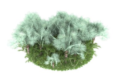 Doğal bitki örtüsü kavramı, gerçekçi palmiye ağaçları kopya alanı için beyaz arkaplanda izole edilmiş