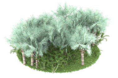 Doğal bitki örtüsü kavramı, gerçekçi palmiye ağaçları kopya alanı için beyaz arkaplanda izole edilmiş