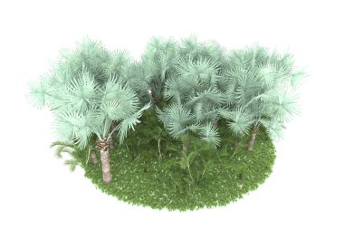 Doğal bitki örtüsü kavramı, gerçekçi palmiye ağaçları kopya alanı için beyaz arkaplanda izole edilmiş