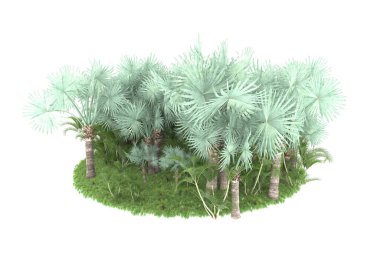 Arka planda izole tropikal orman. 3d görüntüleme - illüstrasyon