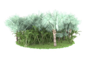 Arka planda izole tropikal orman. 3d görüntüleme - illüstrasyon
