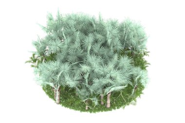 Arka planda izole tropikal orman. 3d görüntüleme - illüstrasyon