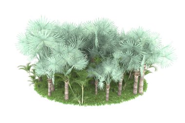 Arka planda izole tropikal orman. 3d görüntüleme - illüstrasyon