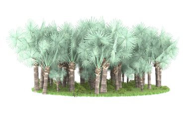 Arka planda izole tropikal orman. 3d görüntüleme - illüstrasyon