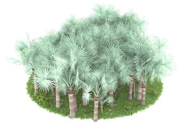 Arka planda izole tropikal orman. 3d görüntüleme - illüstrasyon