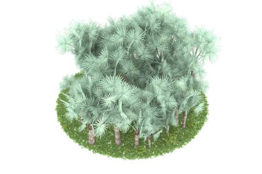 Arka planda izole tropikal orman. 3d görüntüleme - illüstrasyon