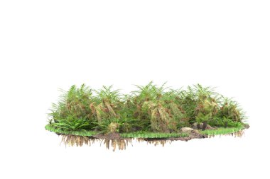 Arka planda izole tropikal orman. 3d görüntüleme - illüstrasyon